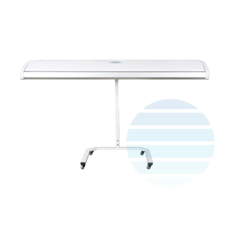 Collagen Bed W1C